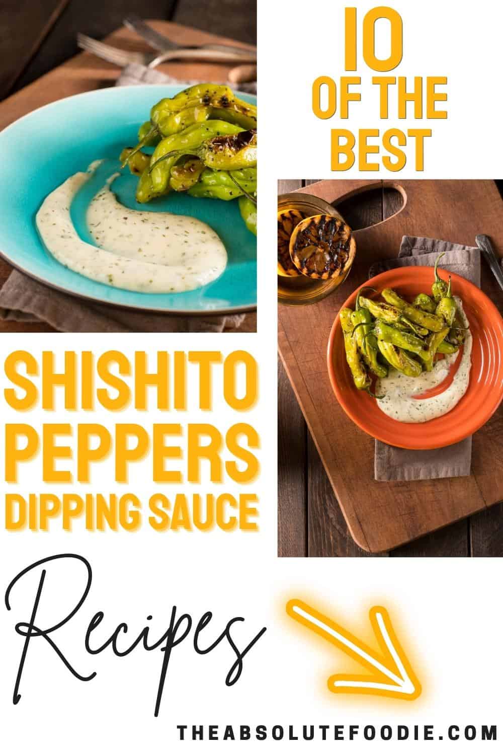 Is Shito Keto-Friendly? - Cast Iron Keto