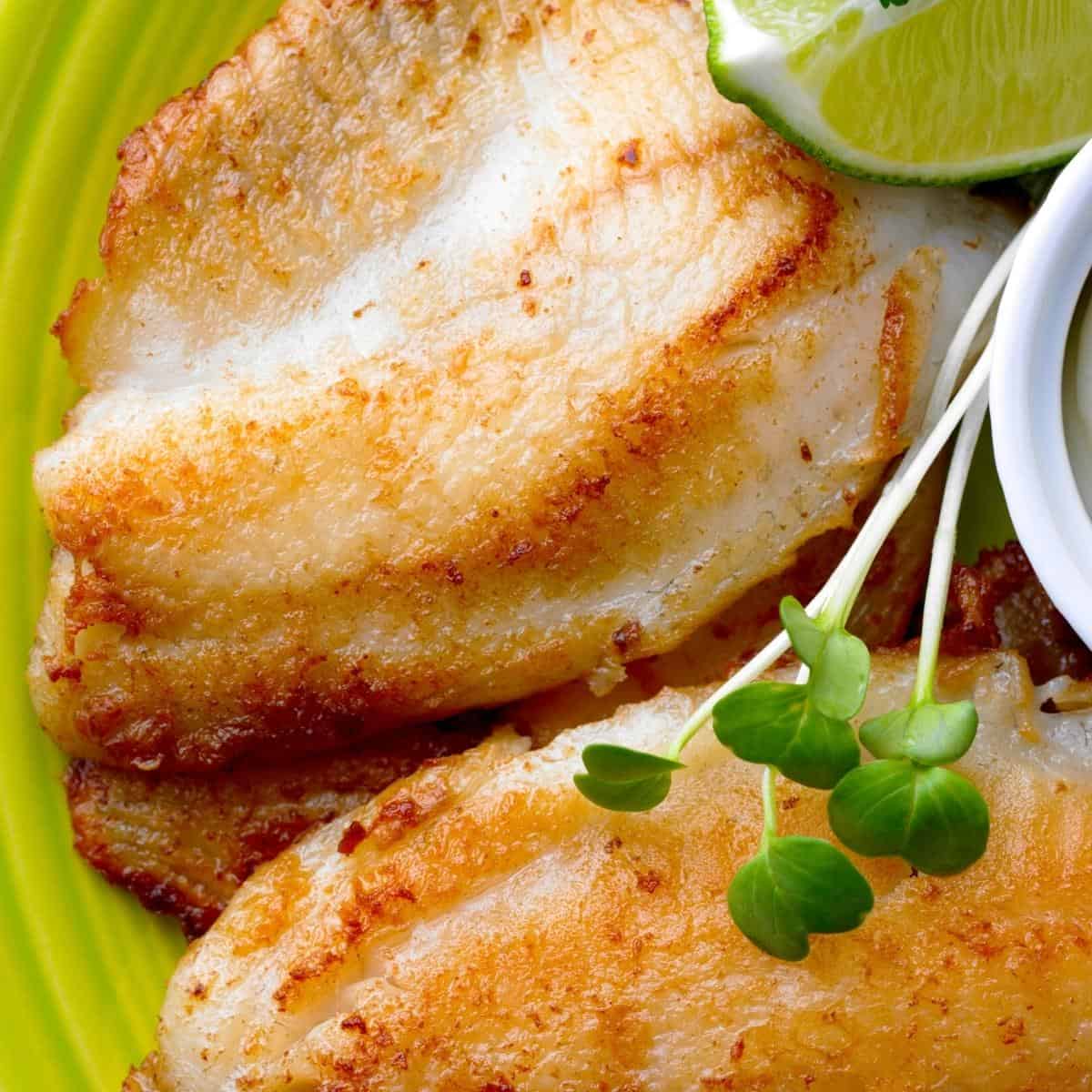 Pan fried tilapia on a green ceramic plate.