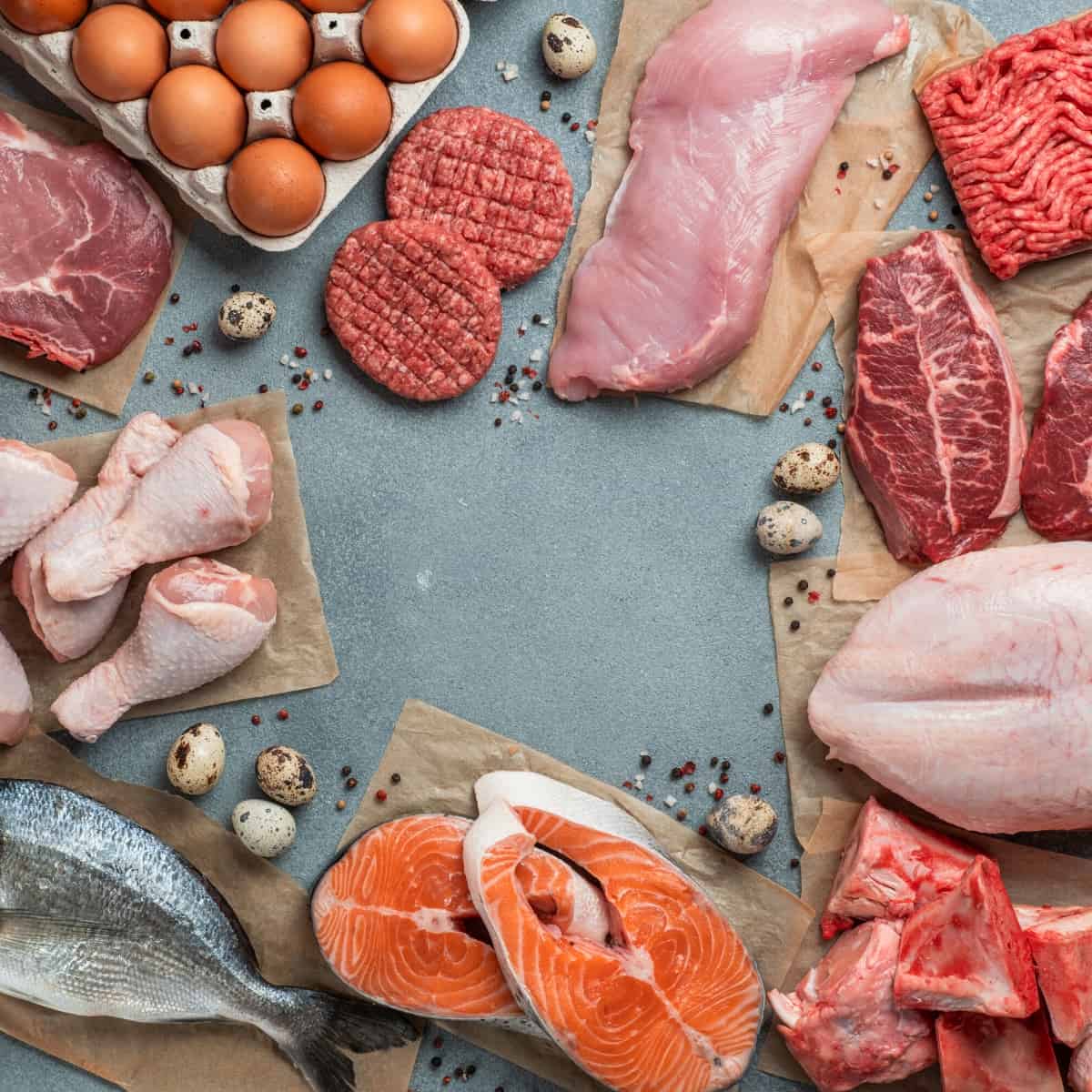 A variety of foods consumed on the carnivore diet.